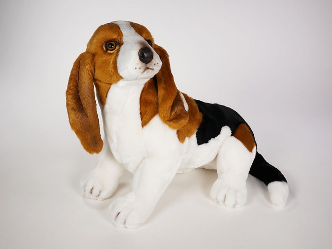 Basset Hound 3285 by Piutrè