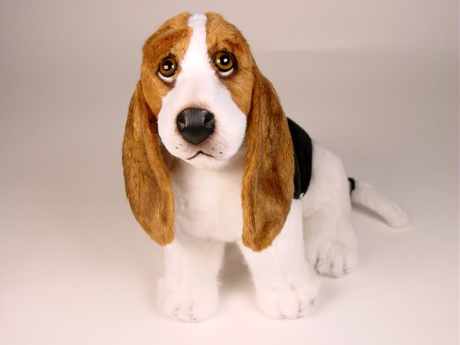 Basset Hound Puppy 3349 by Piutrè 