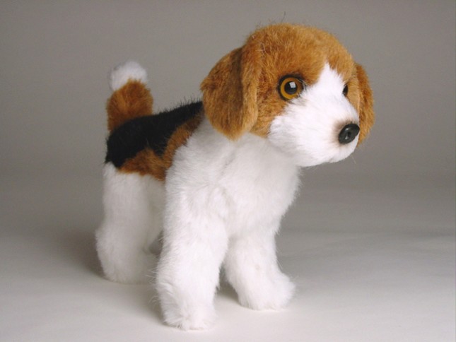 Beagle (Miniature) 4284 by Piutrè 
