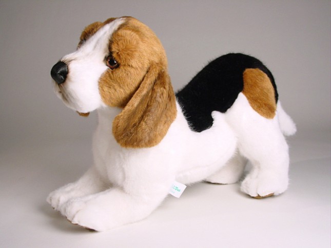 Beagle Puppy 2244 by Piutrè 