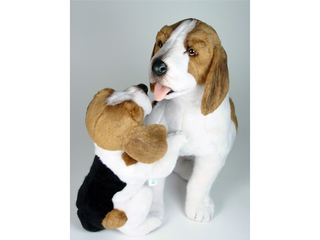 Beagle with Puppy 2241 by Piutrè 