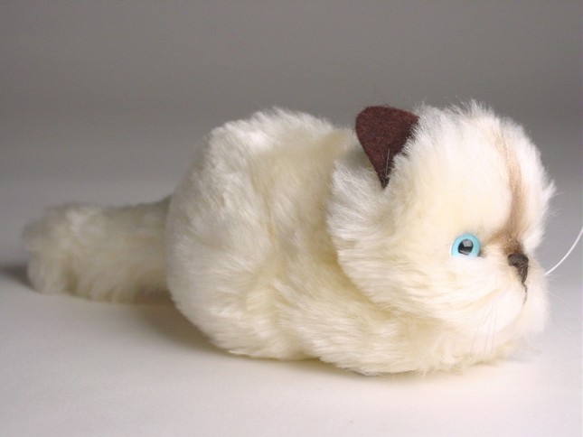 Beige Kitten 2326 by Piutrè 