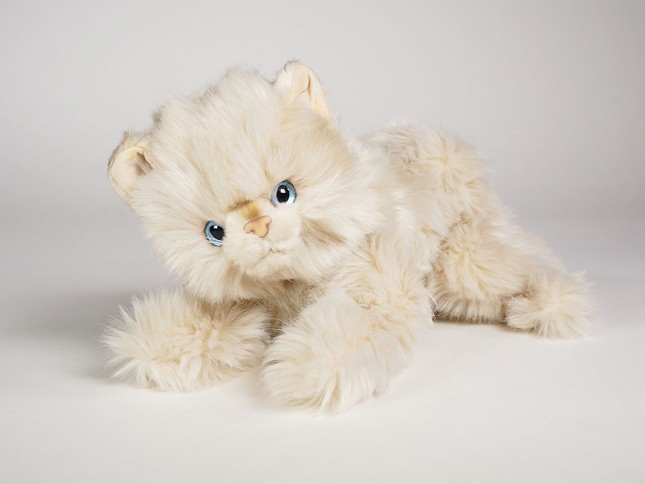 Beige Kitten 2440 by Piutrè