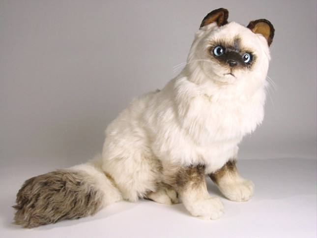 Birman Cat 2311 by Piutrè 