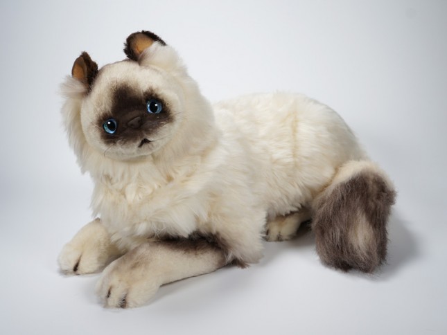 Birman Cat 2312 by Piutrè 