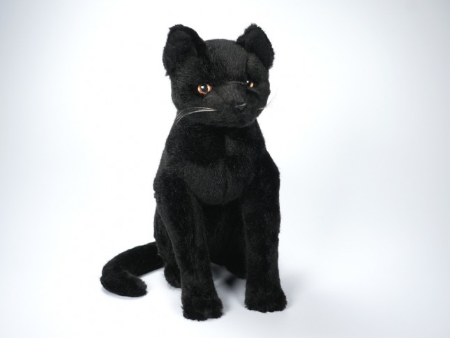 Black Cat 0325 by Piutrè