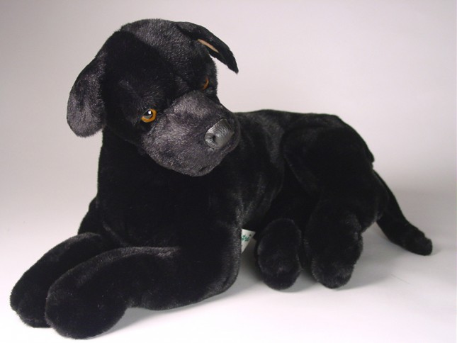 Black Great Dane Puppy 3316 by Piutrè