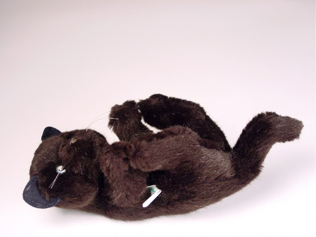 Black Kitten 2443 by Piutrè 