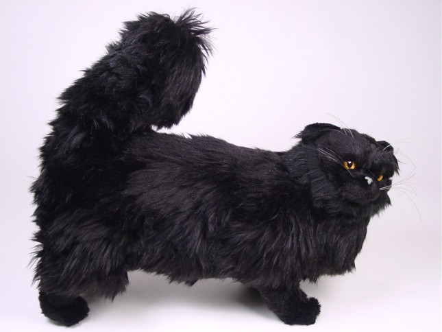 Black Persian Cat 2395 by Piutrè 
