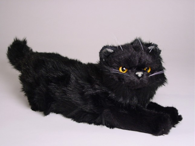 Black Persian Kitten 2397 by Piutrè 