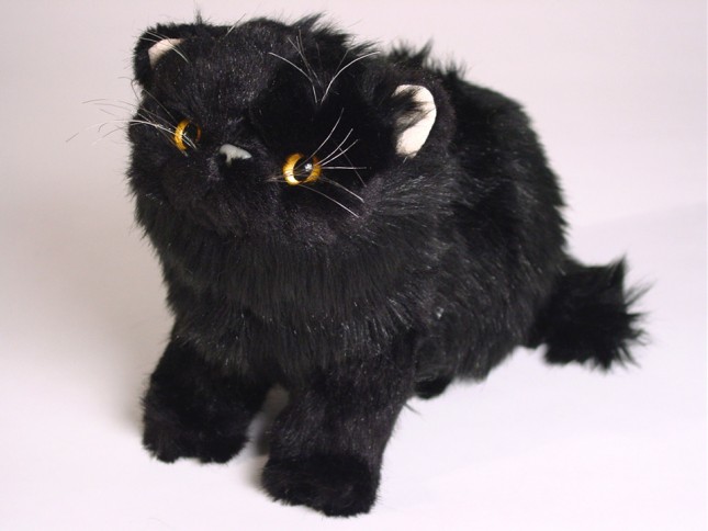 Black Persian Kitten 2399 by Piutrè 