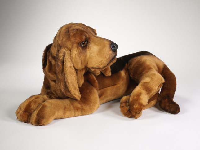 Bloodhound 2268 by Piutrè 