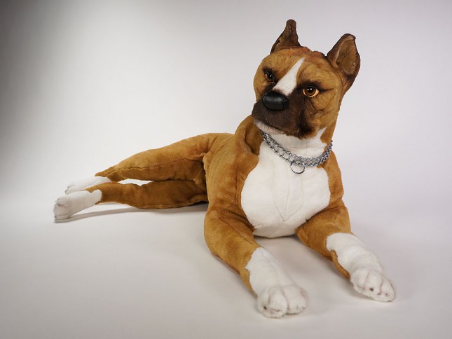 Boxer 2282 by Piutrè