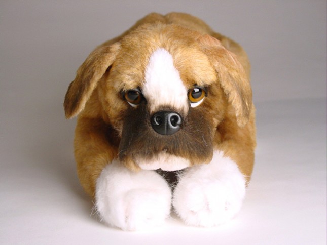 Boxer Puppy 2286 by Piutrè 