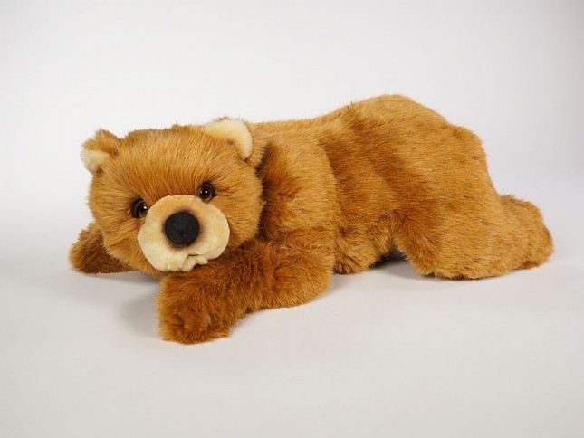 Brown Bear Cub 2105 by Piutrè