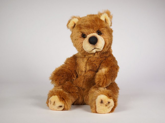 Brown Bear Cub 2106 by Piutrè