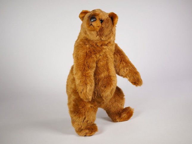 Brown Bear Cub 2124 by Piutrè