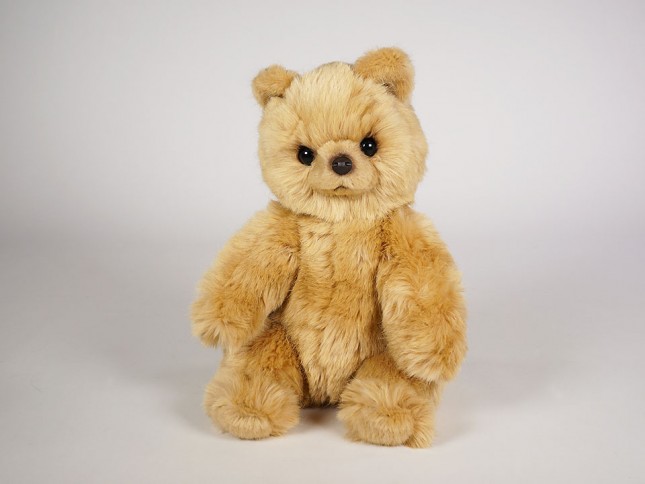 Brown Bear Cub 2155 by Piutrè