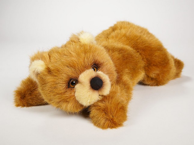 Brown Bear Cub 2107 by Piutrè