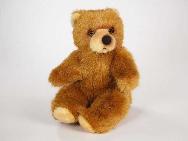 Brown Bear Cub 2108 by Piutrè