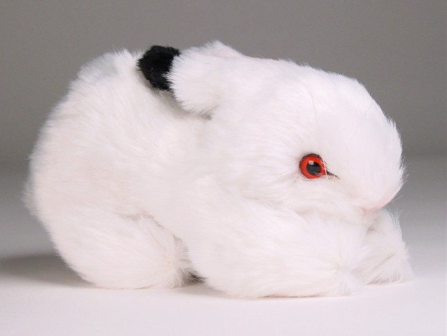 Bunny 0706 by Piutrè