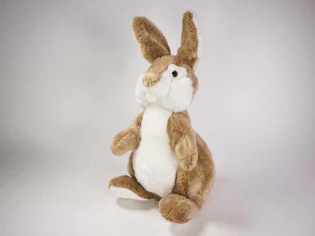 Bunny 0716 by Piutrè