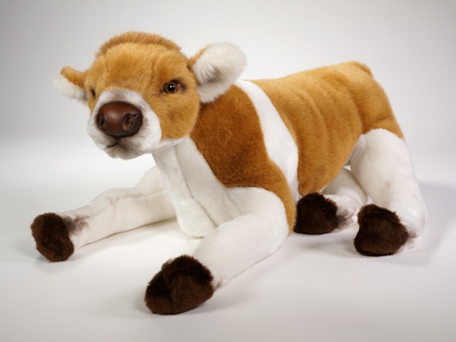 Calf 2671 by Piutrè