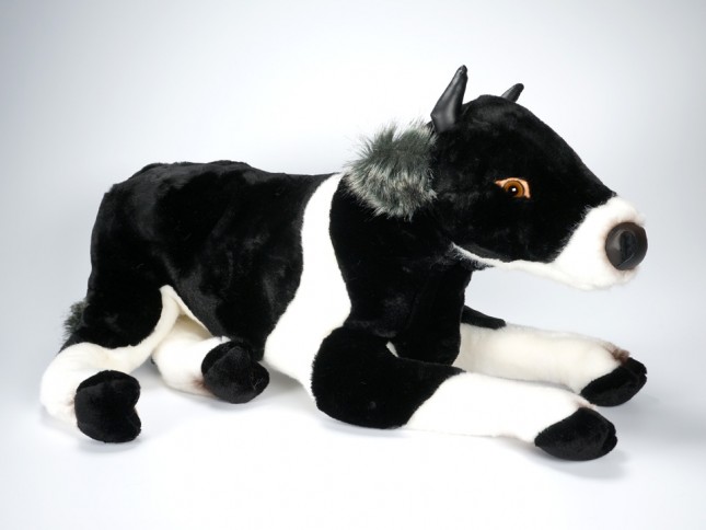 Calf 2687 by Piutrè