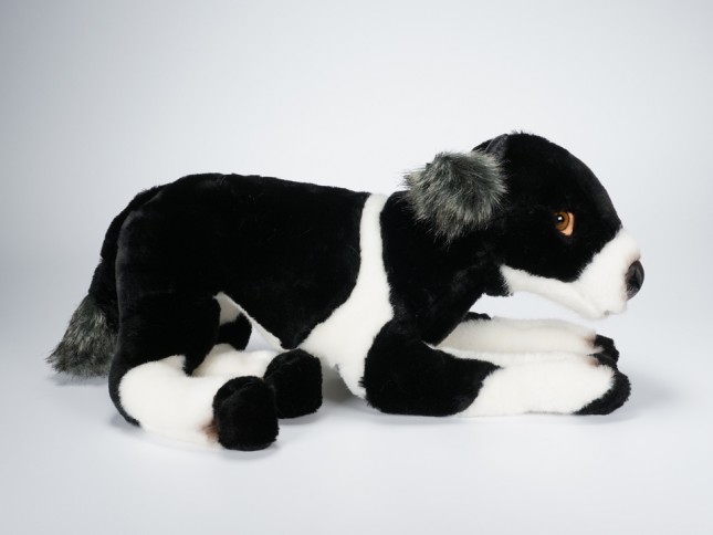 Calf 2689 by Piutrè