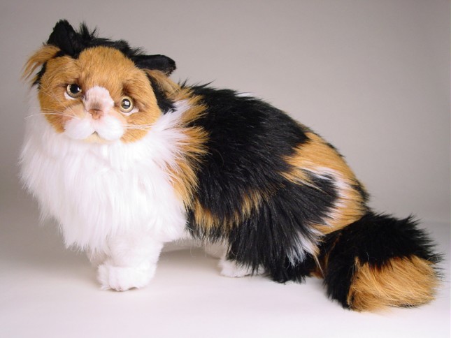 Calico Cat 2331 by Piutrè