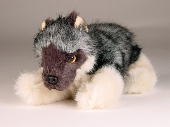 Caspian Sea Wolf Cub 1245 by Piutrè