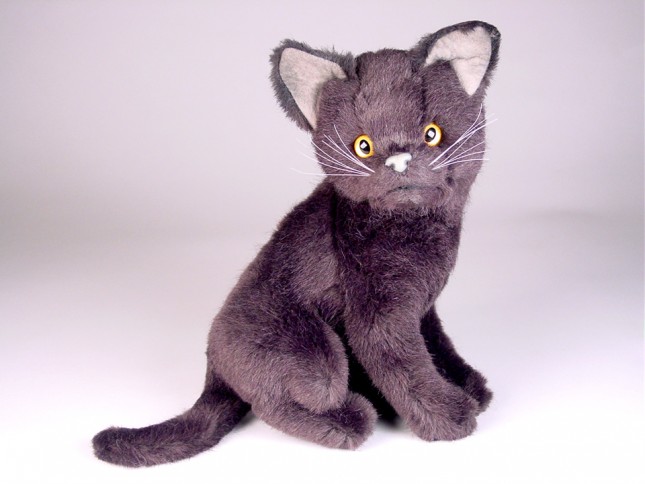 Certosino (Carthusian) Kitten 2324 by Piutrè 