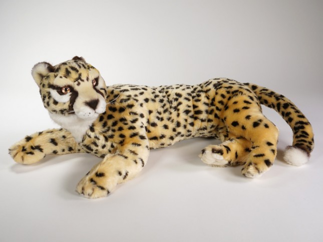 Cheetah Cub 2582 by Piutrè