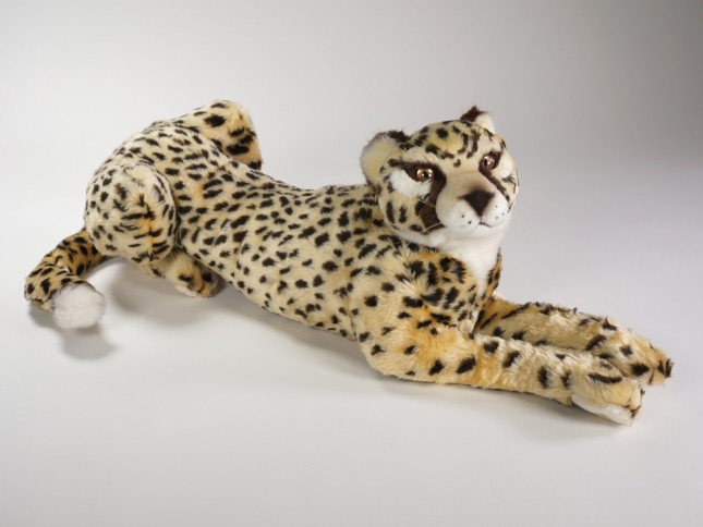 Cheetah Cub 2583 by Piutrè