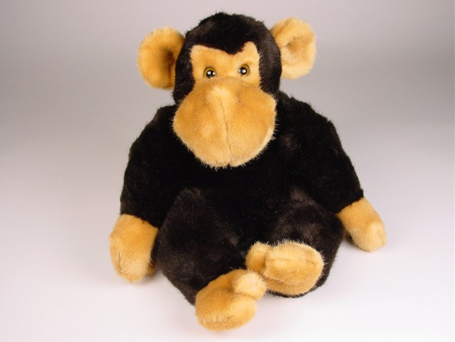 Chimpanzee (Morbidone) 2631 by Piutrè