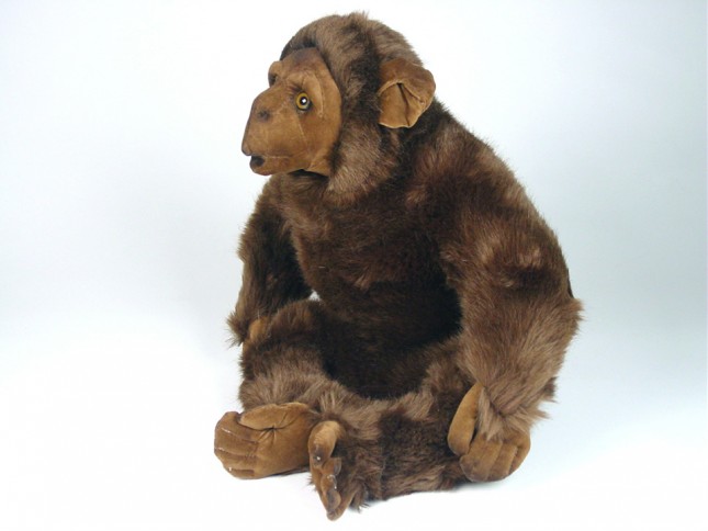 Chimpanzee 2570 by Piutrè 