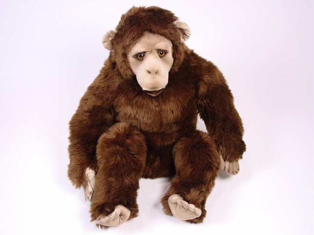 Chimpanzee 2571 by Piutrè 