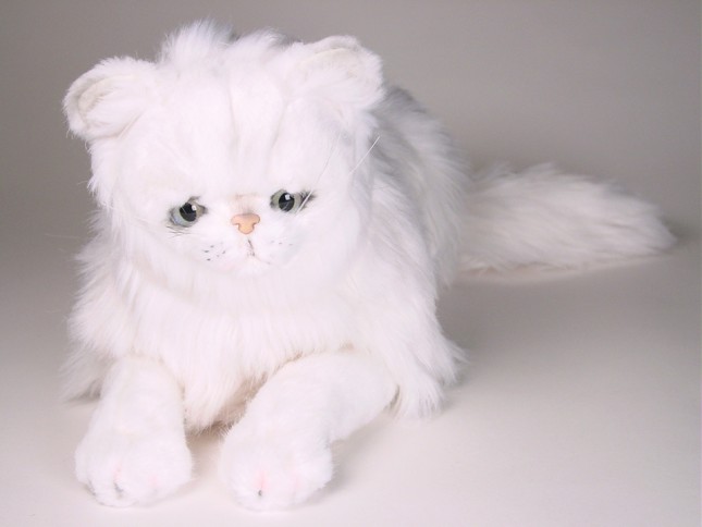 Chinchilla Silver Persian Cat 2301 by Piutrè