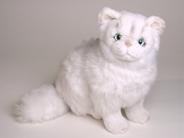 Chinchilla Silver Persian Kitten 2302 by Piutrè