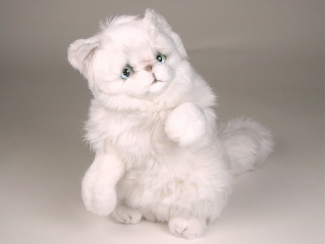 Chinchilla Silver Persian Kitten 2304 by Piutrè 