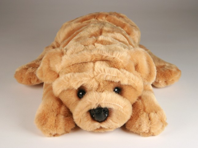 Chinese Shar-Pei Puppy 2299 by Piutrè 