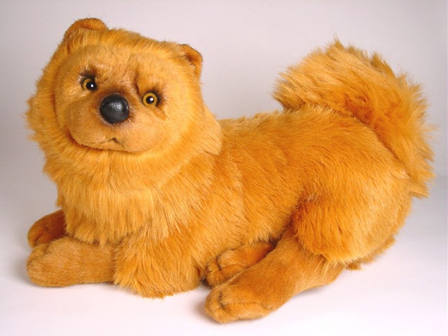 Chow Chow 3248 by Piutrè 