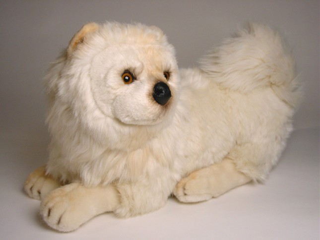 Chow Chow 3343 by Piutrè 