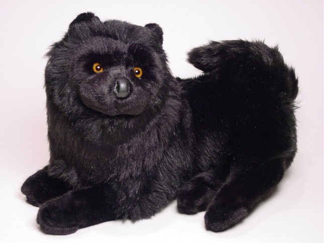 Chow Chow 3346 by Piutrè 