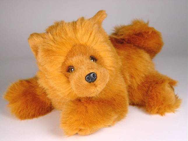 Chow Chow Puppy (Morbidone) 2613 by Piutrè