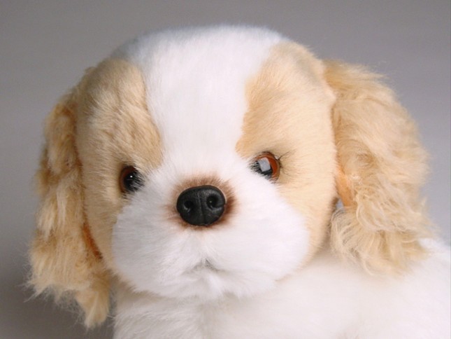 Cocker Spaniel Puppy (Mascot) 4231 by Piutrè 