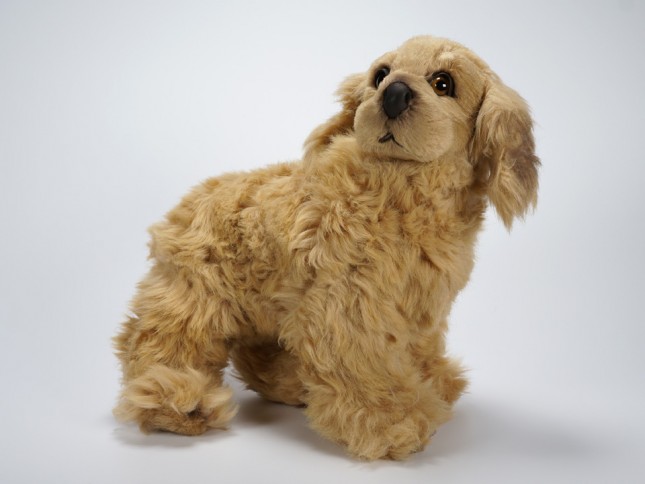 Cocker Spaniel Puppy 1360 by Piutrè 
