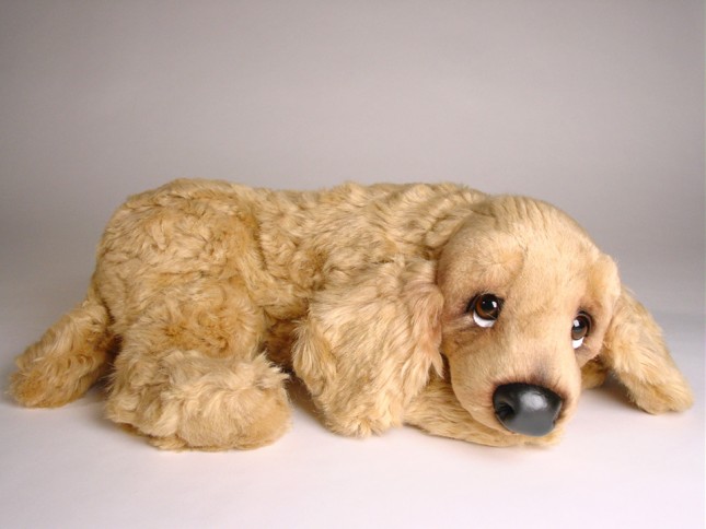 Cocker Spaniel Puppy 3203 by Piutrè