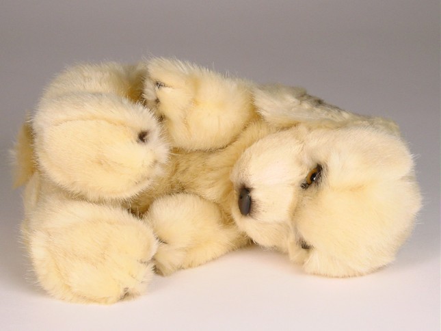 Cocker Spaniel Puppy 3209 by Piutrè 