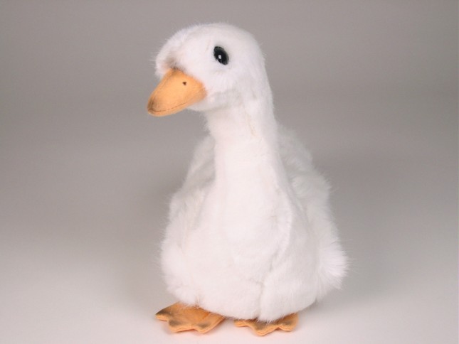 Cygnet 0732 by Piutrè